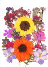 Load image into Gallery viewer, Dried pressed flowers
