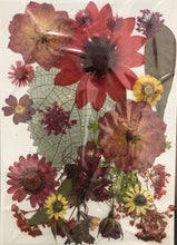 Load image into Gallery viewer, Dried pressed flowers