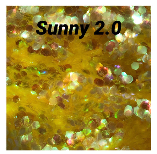Sunny 2.0