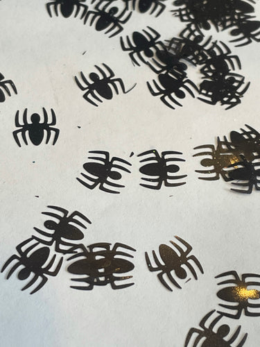 Spiders